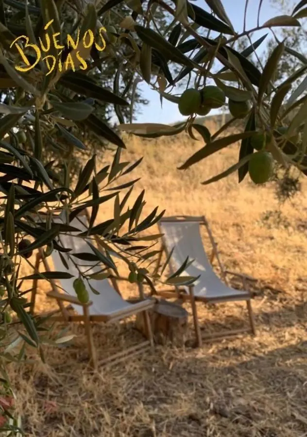 Luxury tent Tienda De Safari Almagro Hotel Montecorto Spain